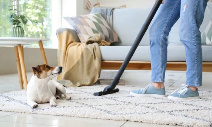 spring-cleaning-with-pet